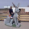 Here_It_Is_JackRabbit.jpg