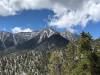 NV_Mt_Charleston.jpg