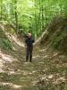 Natchez_Trace_old.jpg