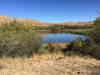 Patagonia_Lake_State_Park.jpg