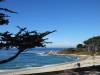 Pebble_Beach_17-mile_drive.jpg