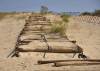 Plank_Road.jpg