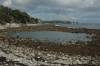 Rachel_Carson_pond.jpg