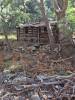 Ramsey_Canyon_James_cabin.jpg