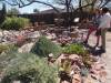 Tucson_Botanical_Gardens.jpg