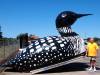 Virginia_Loon-650.jpg