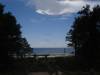 DSC01231.JPG