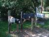 DSC01332.JPG