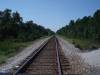 DSC01341.JPG