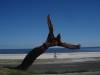 DSC01455.JPG
