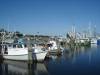 DSC01473.JPG
