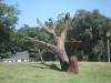 DSC01574.JPG