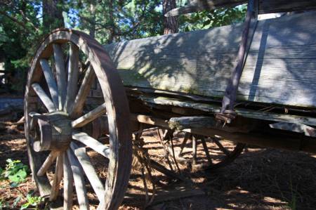 Wagon, Pinos Altos