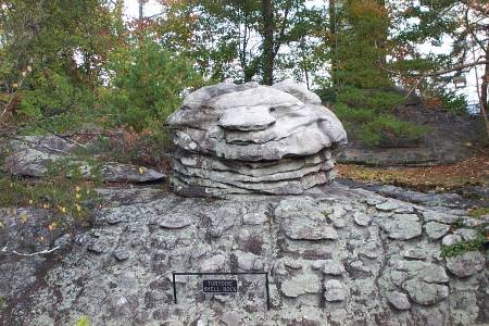 Tortoise Shell Rock