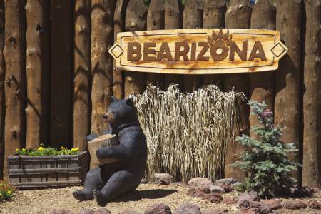 Bearizona Wildlife Park