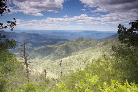 Blue Vista Overlook