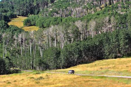 Boulder Mountain, Dixie National Forest