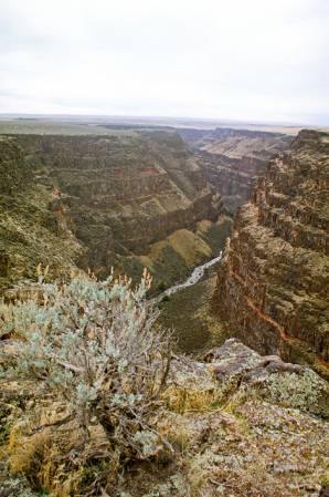 Bruneau Canyon