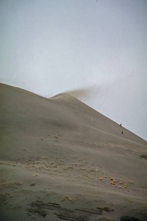 Bruneau Sand Dunes