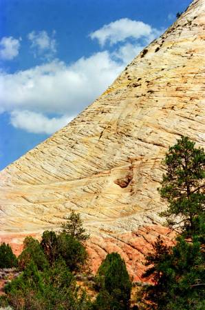 Checkerboard Mesa, Zion National Park
