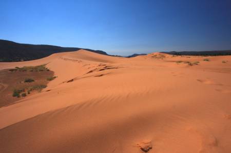 Coral Pink Sand Dunes State Park