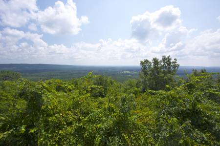 Dowdell's Knob, FD Roosevelt State Park
