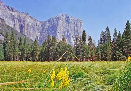 El Capitan, Yosemite National Park