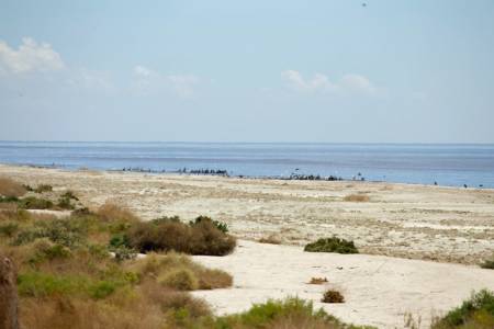 Salton Sea State Recreation Area