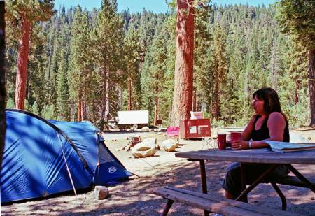 Lodgepole campground on sale