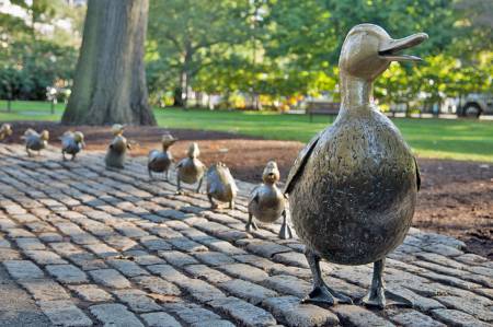 Make Way For Ducklings