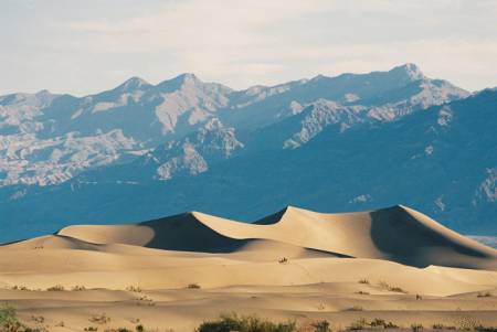 dunes