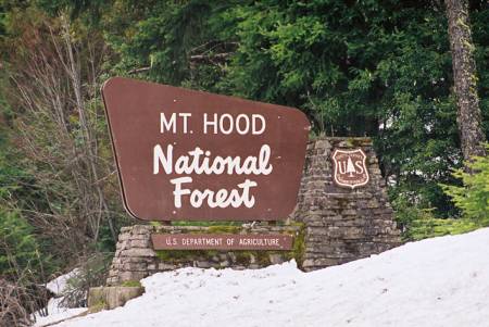 Mount Hood National Forest