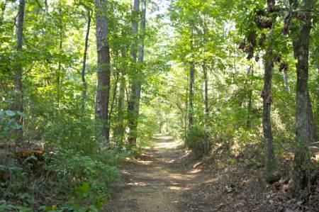 Old Trace, Natchez Trace