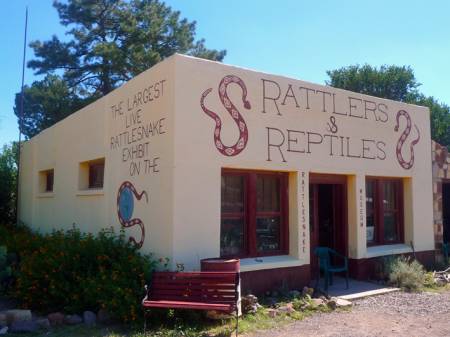 Buzz's Rattlers and Reptiles, Fort Davis, Texas