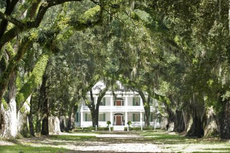 Rosedown Plantation