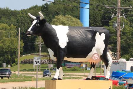 cow