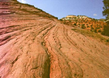 Slickrock Country, Zion National Park