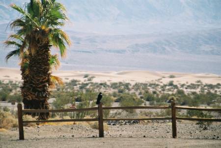 Stovepipe Wells Hotel, Death Valley