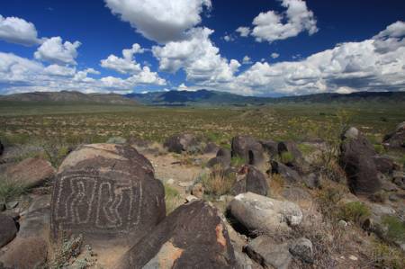 Three Rivers Petroglyphs, New Mexico
