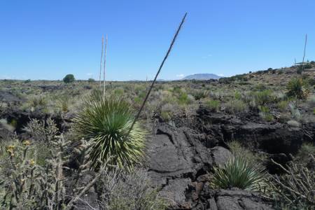 Valley of Fires, New Mexico