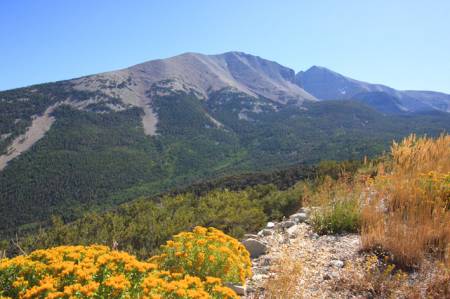 Wheeler Peak, Great Basin NP