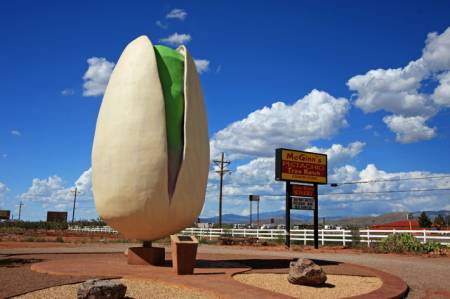 World's Largest Pistachio
