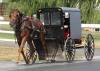 Amish_Buggy.JPG