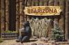Bearizona_Wildlife_Park.jpg