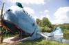 Blue_Whale.jpg