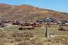 Bodie_Ghost_Town.jpg