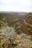 Bruneau_Canyon.JPG