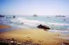 Coquille_Point.JPG