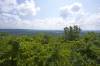 Dowdell_s_Knob_FDR_State_Park.jpg