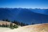 Hurricane_Ridge.jpg
